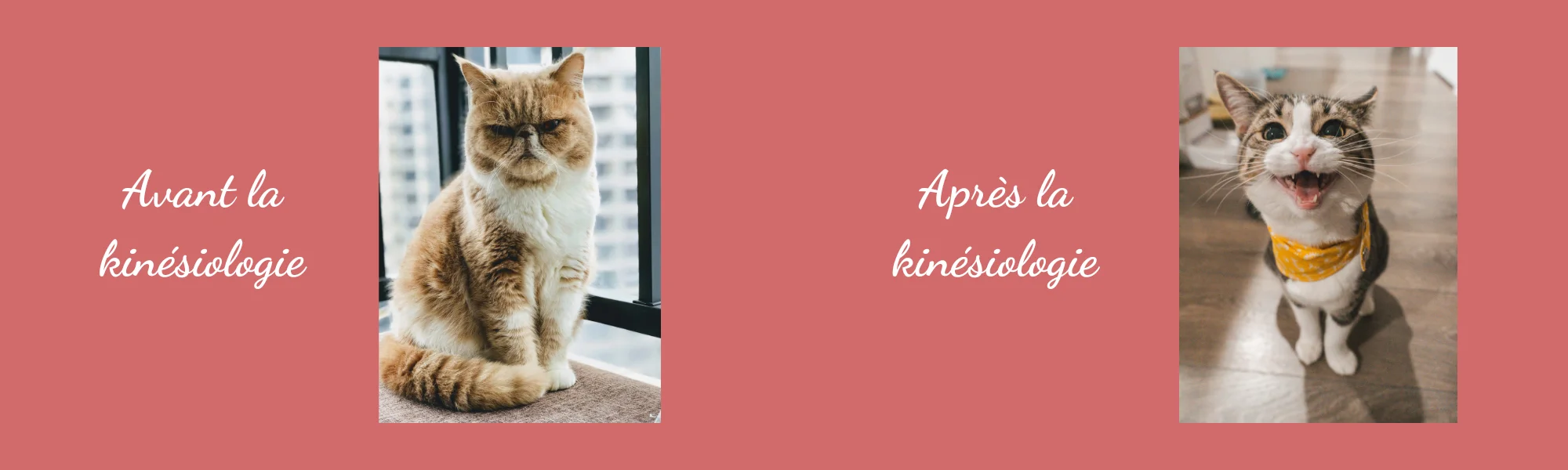 Que soigne un kinésiologue ?